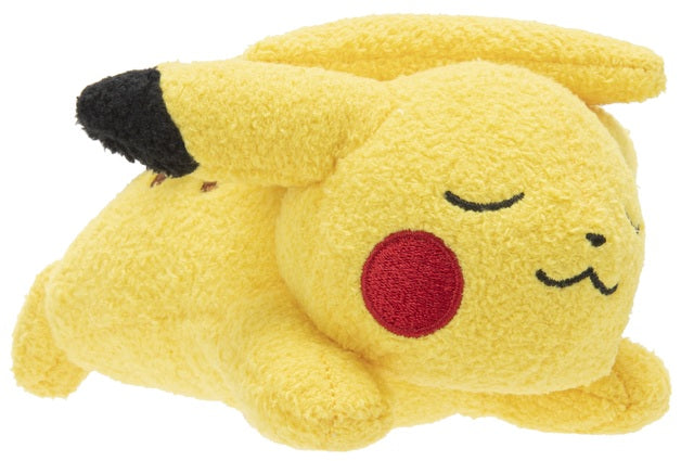 Pokemon 5" Sleeping Plushies