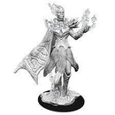 D&D Nolzurs Marvelous Unpainted Miniatures Cloud Giant