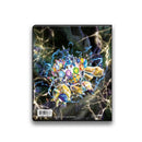 Pokemon Accessory - Portfolio 4-pocket (Stellar Crown)