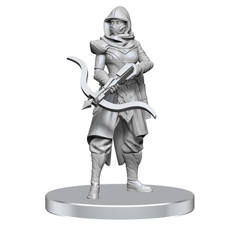 D&D Nolzur's Marvelous Miniatures: Assassin & Berserker