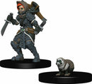 WizKids Wardlings Painted Miniatures