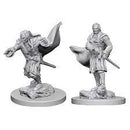 D&D Nolzurs Marvelous Unpainted Miniatures Vampires