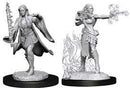 D&D Nolzur's Marvelous Unpainted Miniatures Multiclass Warlock + Sorcerer