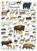 MasterPieces 1000 Piece Jigsaw - Land Mammals of North America