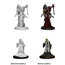 D&D Nolzurs Marvelous Unpainted Miniatures Green Hag & Night Hag