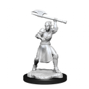 Critical Role Unpainted Miniatures Half-Elf Echo Knight and Echo Female