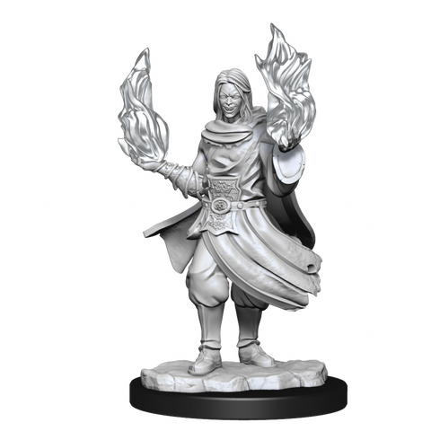 Critical Role Unpainted Miniatures Hollow One Rogue and Sorceror Male