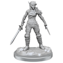 D&D Nolzur's Marvelous Miniatures: Elf Rogue & Half-Elf Rogue Protégé