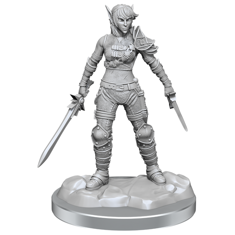 D&D Nolzur's Marvelous Miniatures: Elf Rogue & Half-Elf Rogue Protégé