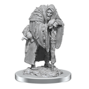 D&D Nolzurs Marvelous Unpainted Miniatures - Wereravens