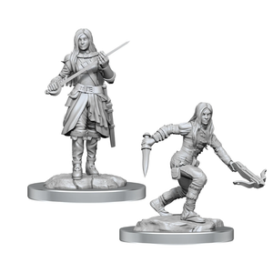 D&D Nolzur's Marvelous Miniatures: Half-Elf Rogue Female