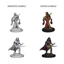 Pathfinder Deep Cuts Unpainted Miniatures Female Human Bard