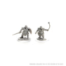 D&D Nolzur's Marvelous Miniatures: Dwarf Fighter Female