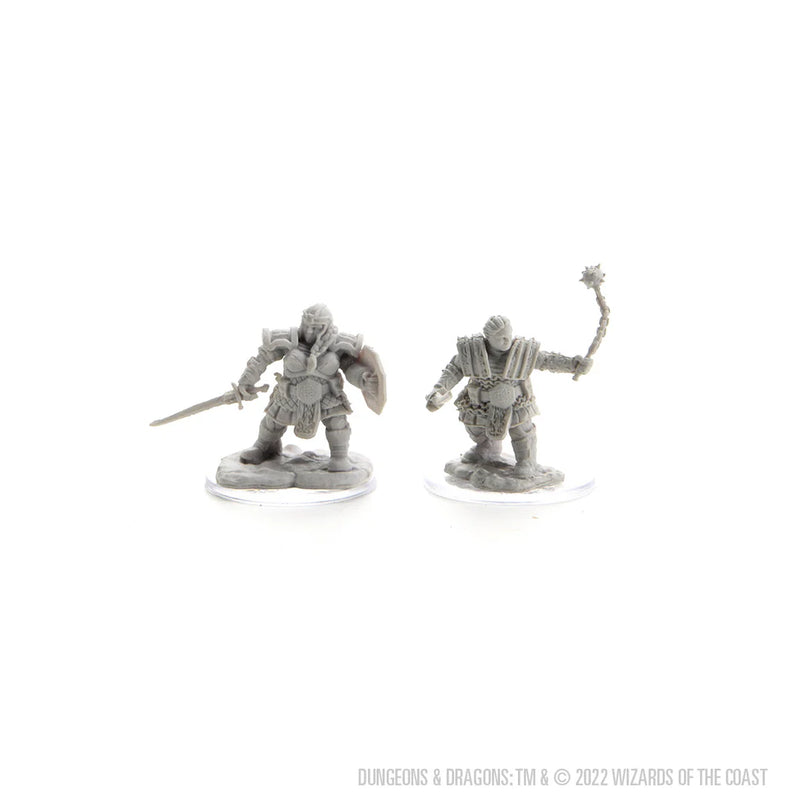 D&D Nolzur's Marvelous Miniatures: Dwarf Fighter Female
