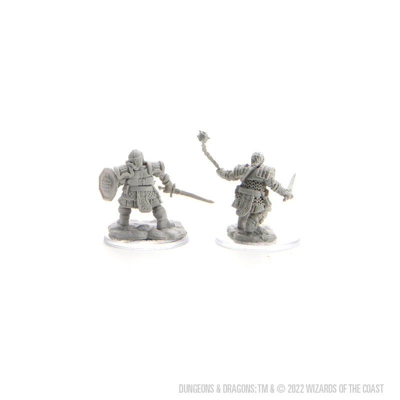 D&D Nolzur's Marvelous Miniatures: Dwarf Fighter Female