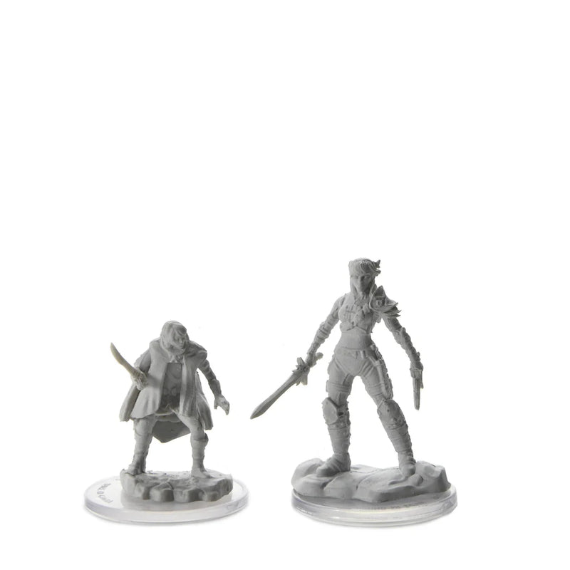 D&D Nolzur's Marvelous Miniatures: Elf Rogue & Half-Elf Rogue Protégé
