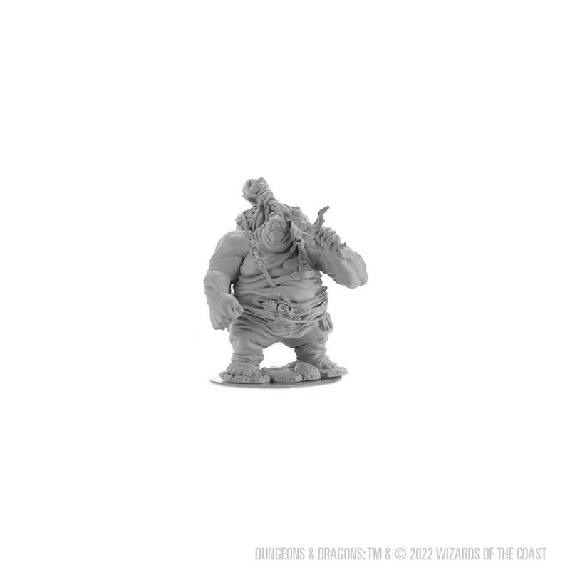 D&D Nolzur’s Marvelous Miniatures: Hill Giant