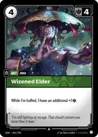 Wizened Elder [065/298] Uncommon -FOIL