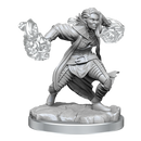 D&D Nolzur's Marvelous Miniatures: Half-Elf Warlock