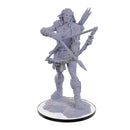 Pathfinder Deep Cuts Miniatures: Wood Giant