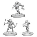D&D Miniature Figurine - Monsters/Creatures