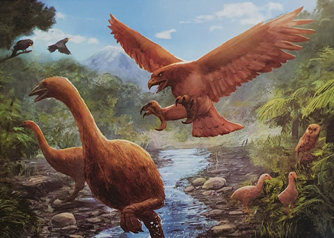 30 Piece Frame Tray Puzzle - Moa & Haast eagle