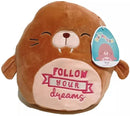 Squishmallows 12 inch Inspirational Message - Follow Your Dreams