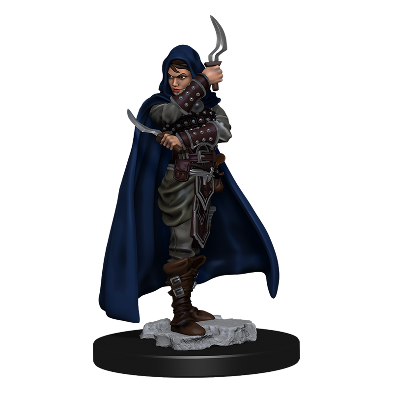 D&D Miniature Figurine - Prepainted