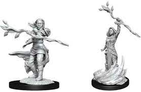 D&D Miniature Figurine - Human Druid