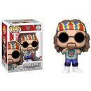 WWE - Dude Love Pop! 109
