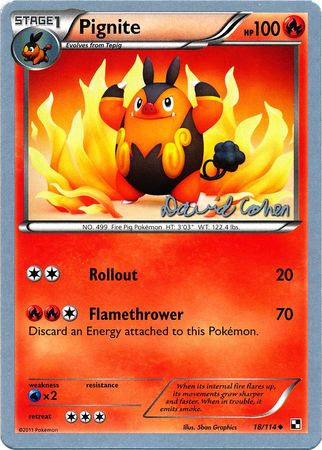Pignite (18/114) (Twinboar