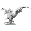 D&D Nolzurs Marvelous Miniatures Aspect of Tiamat