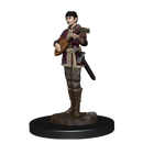 D&D Miniature Figurine - Prepainted