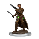D&D Premium Painted Figures Shifter Rogue Female