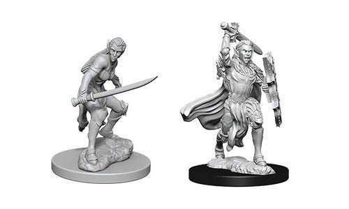 D&D Miniature Figurine - Fighter