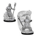 D&D Miniature Figurine - Druid