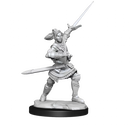 Critical Role Unpainted Miniatures Half-Elf Paladin Xhorhas Female