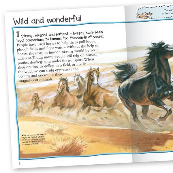 100 facts - Horses and Ponies