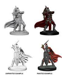 Pathfinder Battles Deep Cuts Female Knights / Gray Maidens
