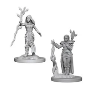 D&D Miniature Figurine - Druid