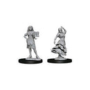 D&D Miniature Figurine - NPC/Villains