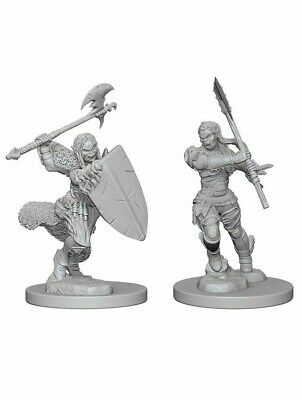 D&D Miniature Figurine - Barbarian