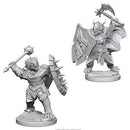 D&D Miniature Figurine - Paladin