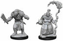 D&D Miniature Figurine - Monsters/Creatures