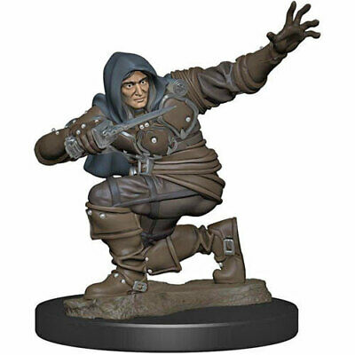 D&D Miniature Figurine - Prepainted